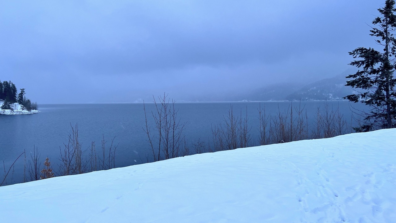 Photo of Others in Kaslo