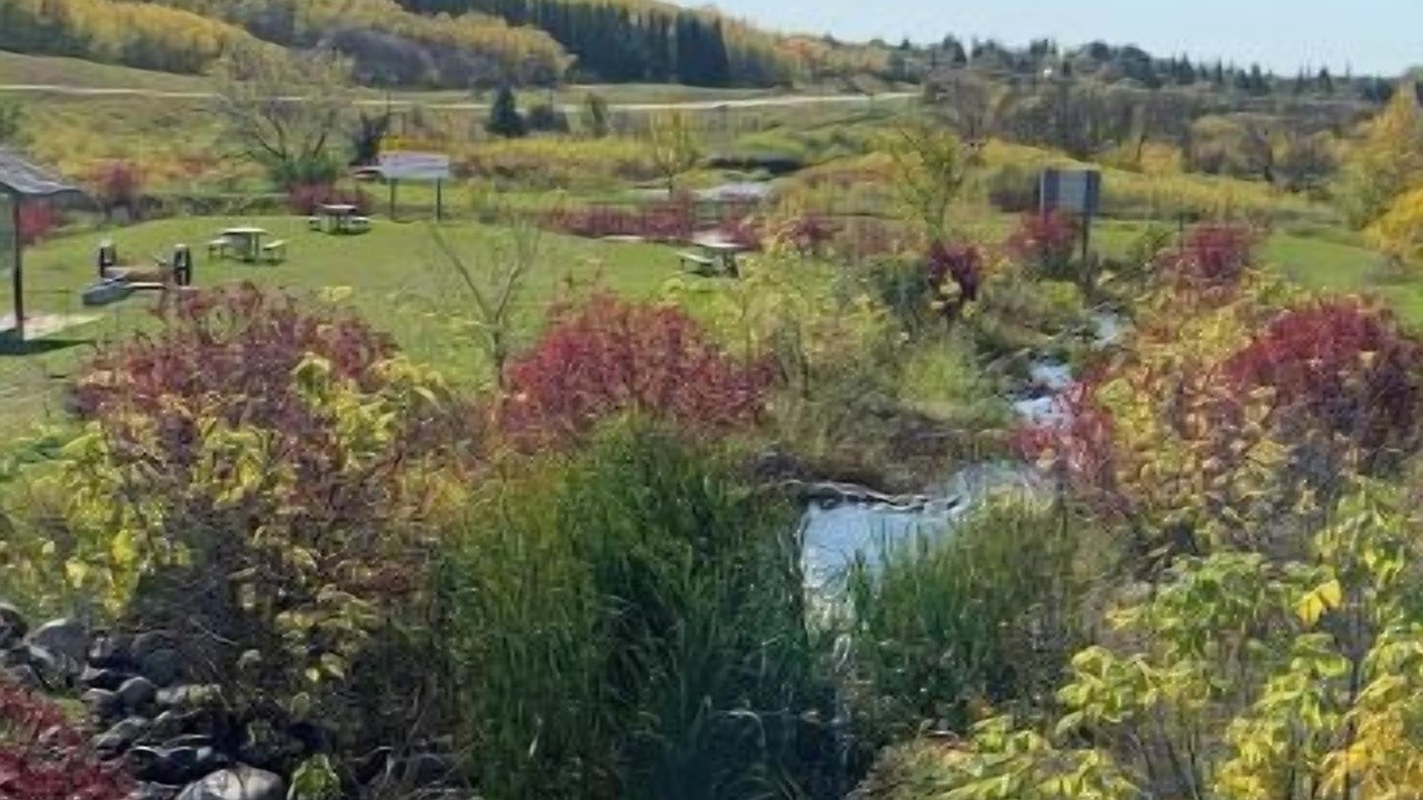 Photo of Outdoor in Minnedosa