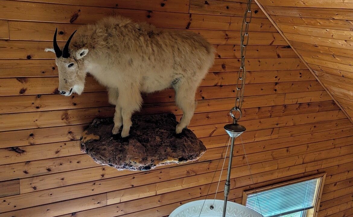 Photo of Outdoor in McBride
