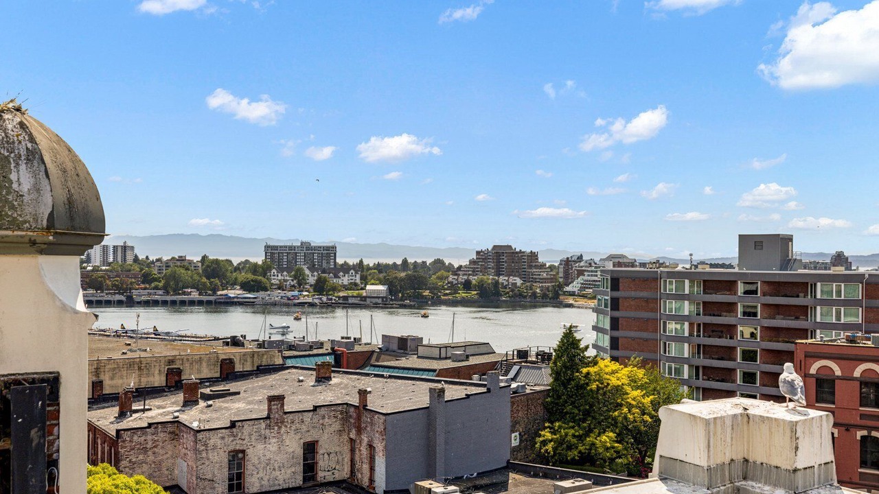 Photo of Outdoor in Inner Harbour