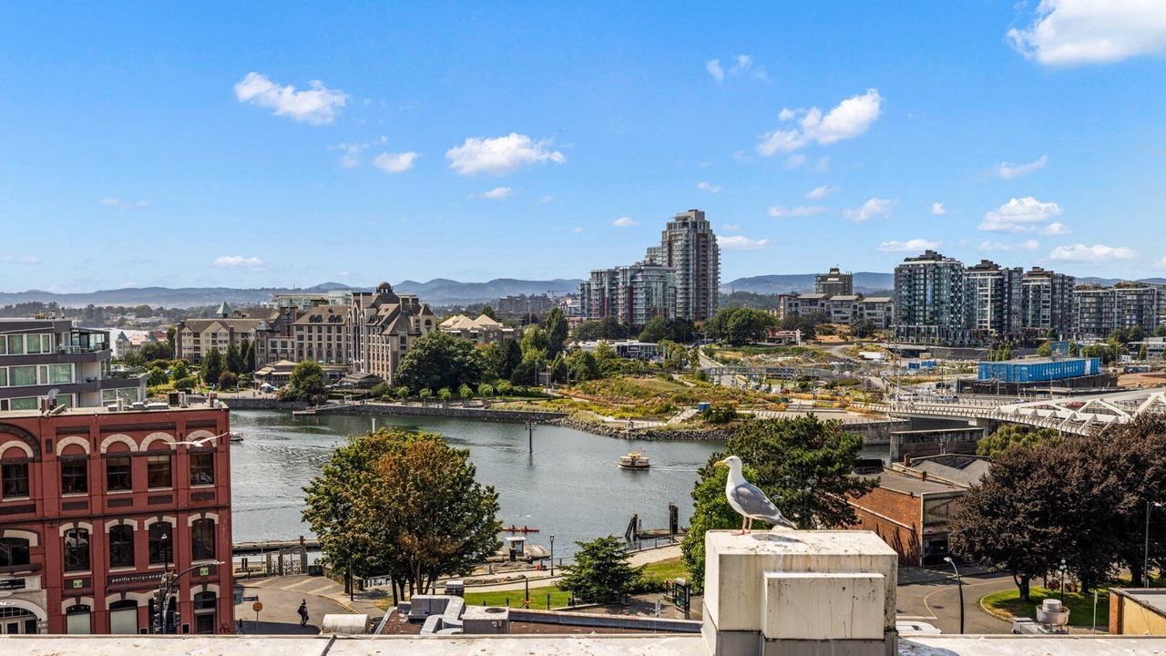 Photo of Outdoor in Inner Harbour