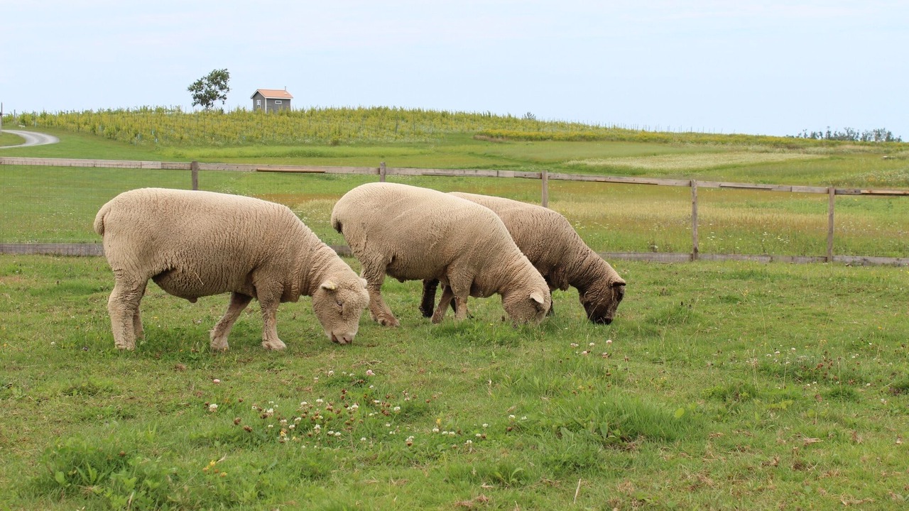 Photo of Others in Egerton