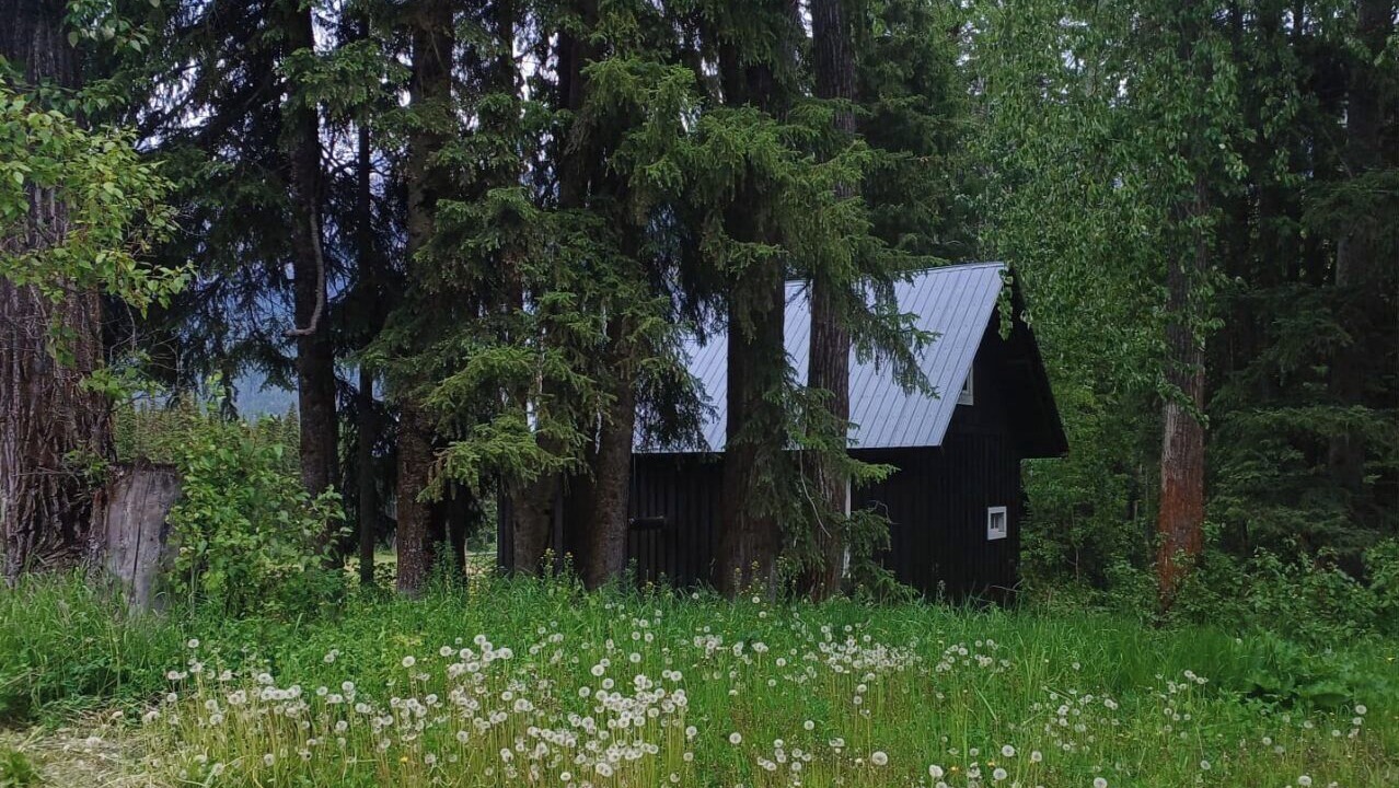 Photo of Outdoor in Golden