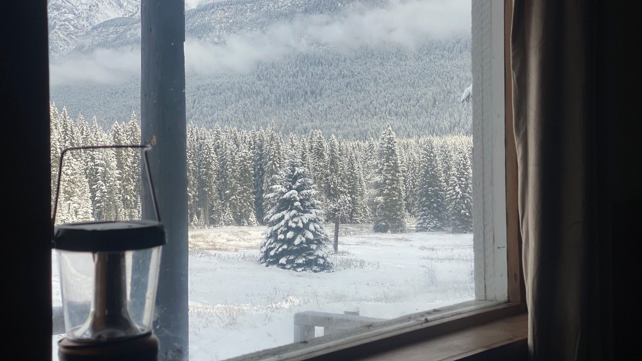 Photo of Outdoor in Golden