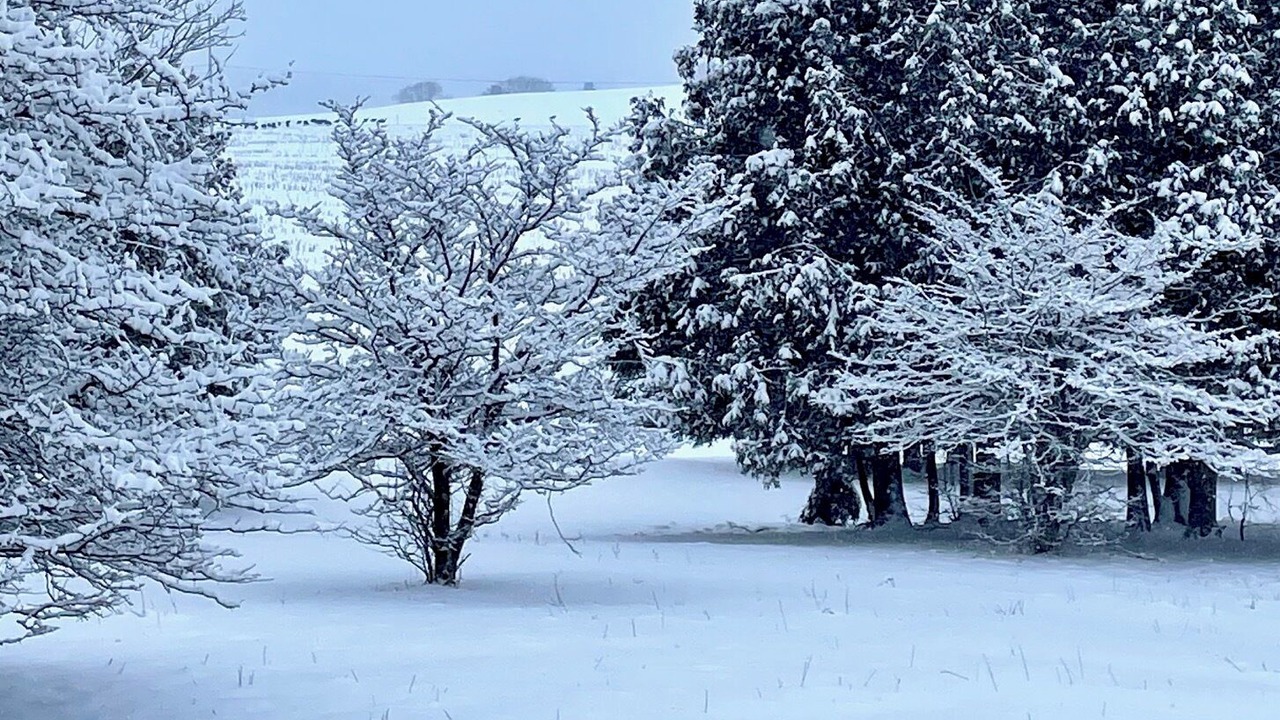 Photo of Others in Brome-Missisquoi Regional County Municipality