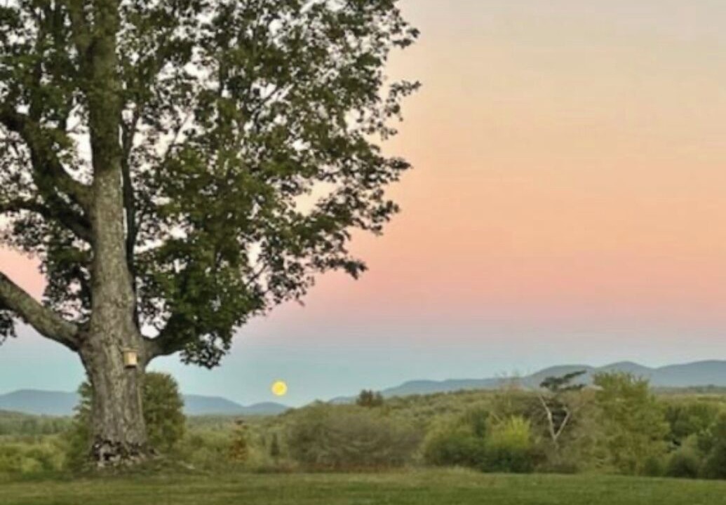 Photo of Others in Brome-Missisquoi Regional County Municipality