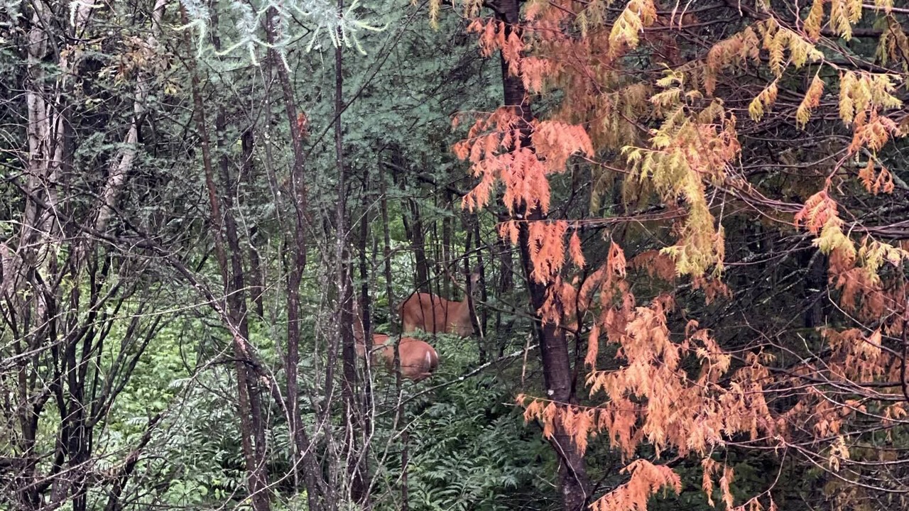 Photo of Outdoor in Weedon