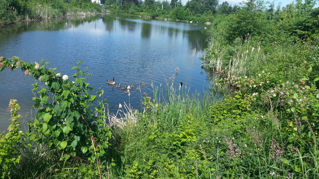 Photo of Outdoor in Yorkson