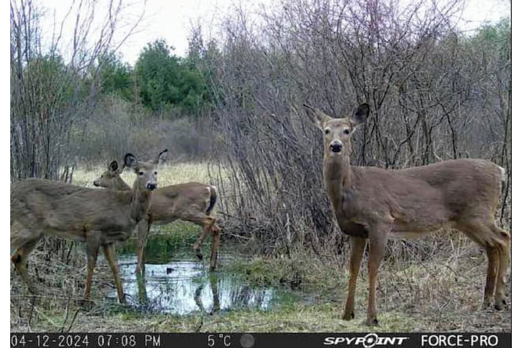Photo of Others in North Grenville