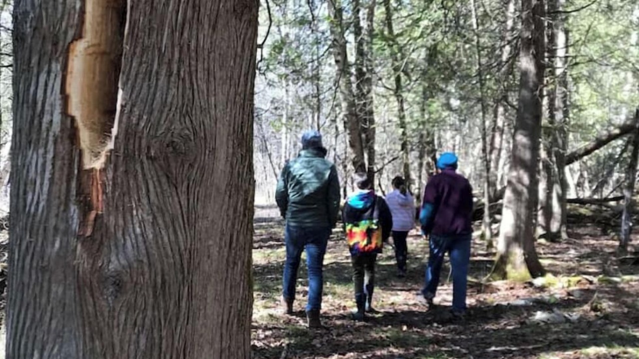 Photo of Others in North Grenville