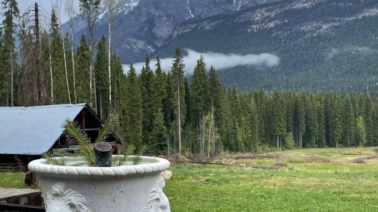 Photo of Outdoor in Golden