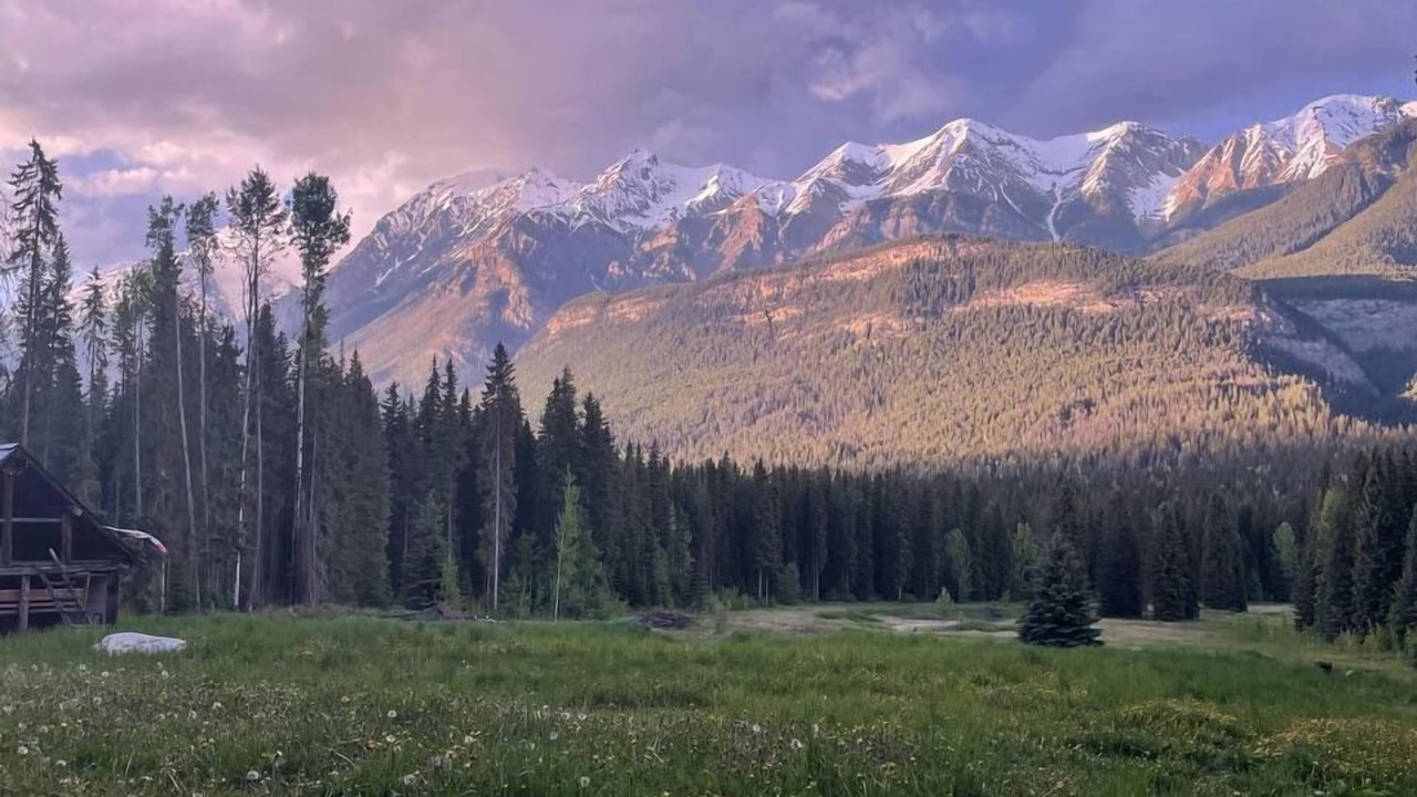 Photo of Outdoor in Golden