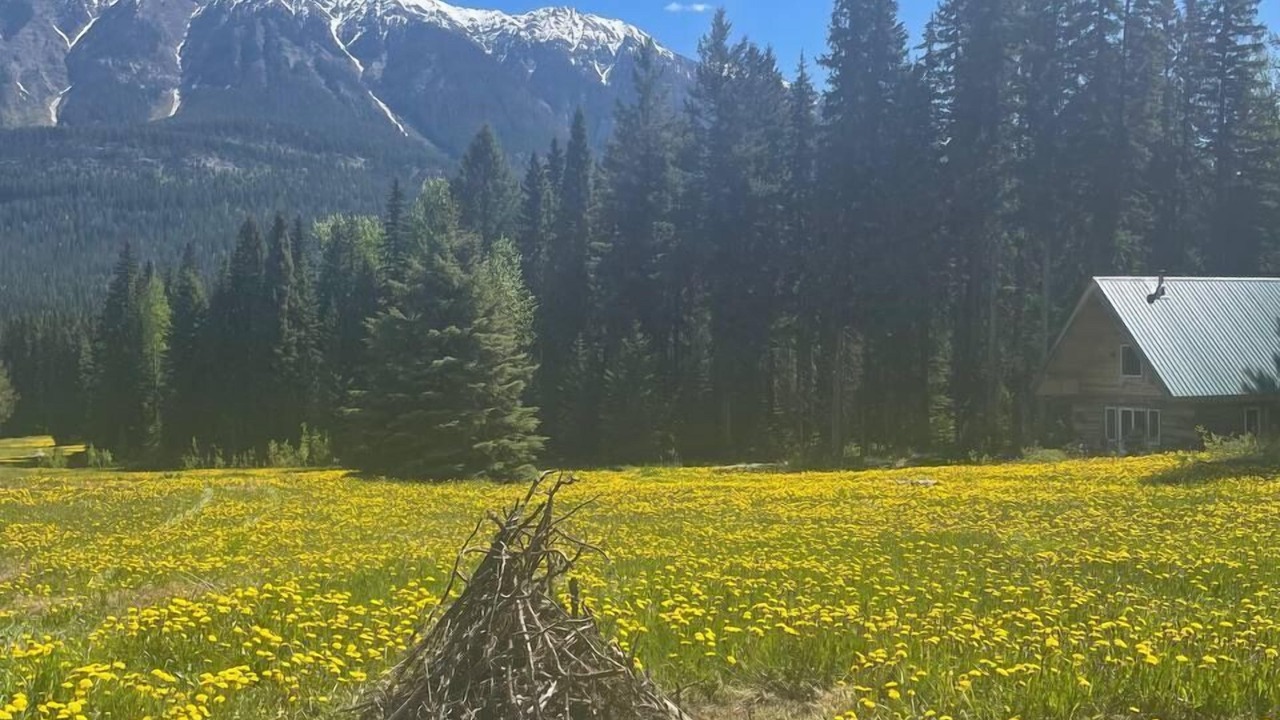 Photo of Outdoor in Golden