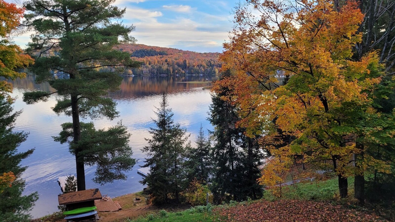 Photo of Outdoor in Feronia