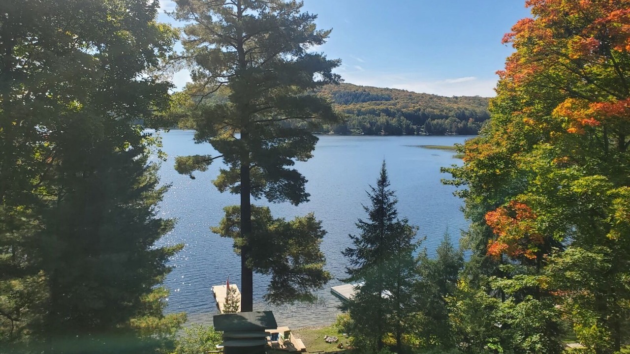 Photo of Outdoor in Feronia