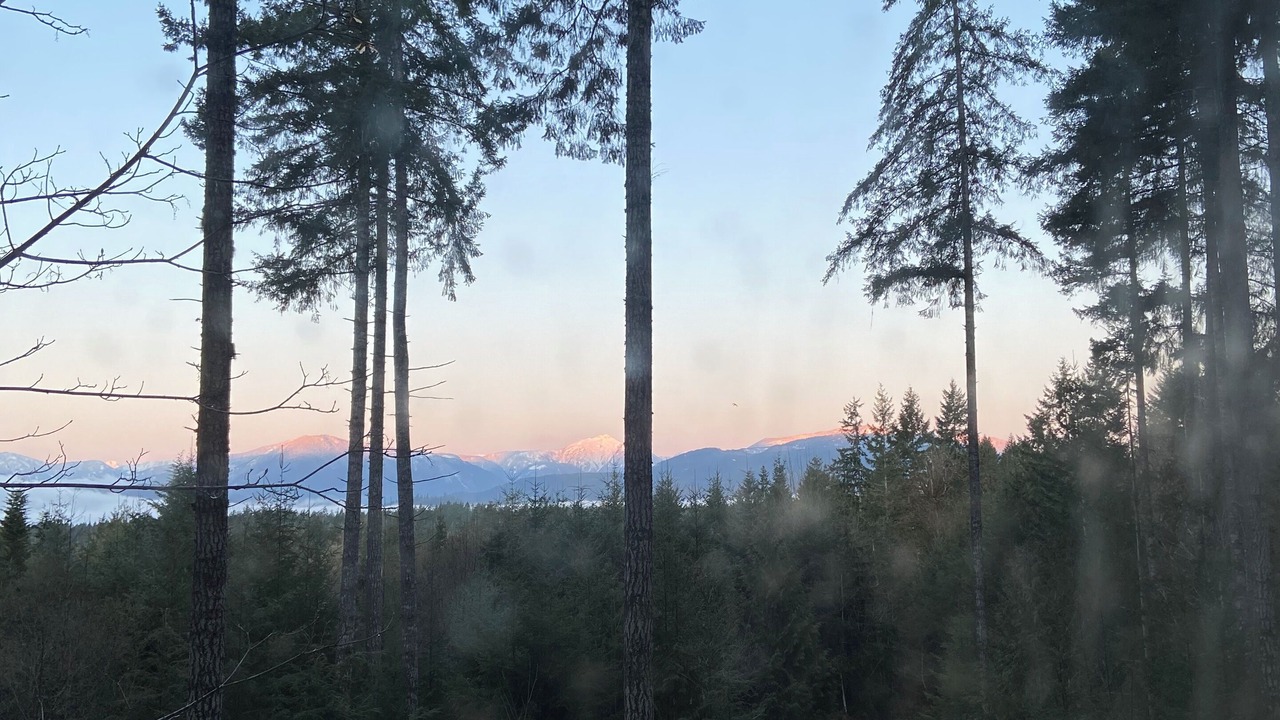 Photo of Others in Port Alberni
