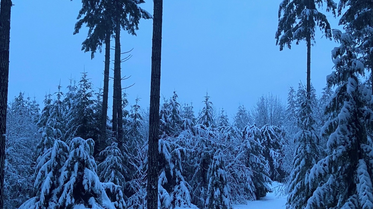 Photo of Outdoor in Port Alberni