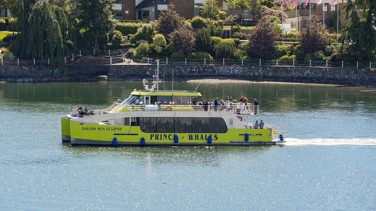 Photo of Others in Inner Harbour