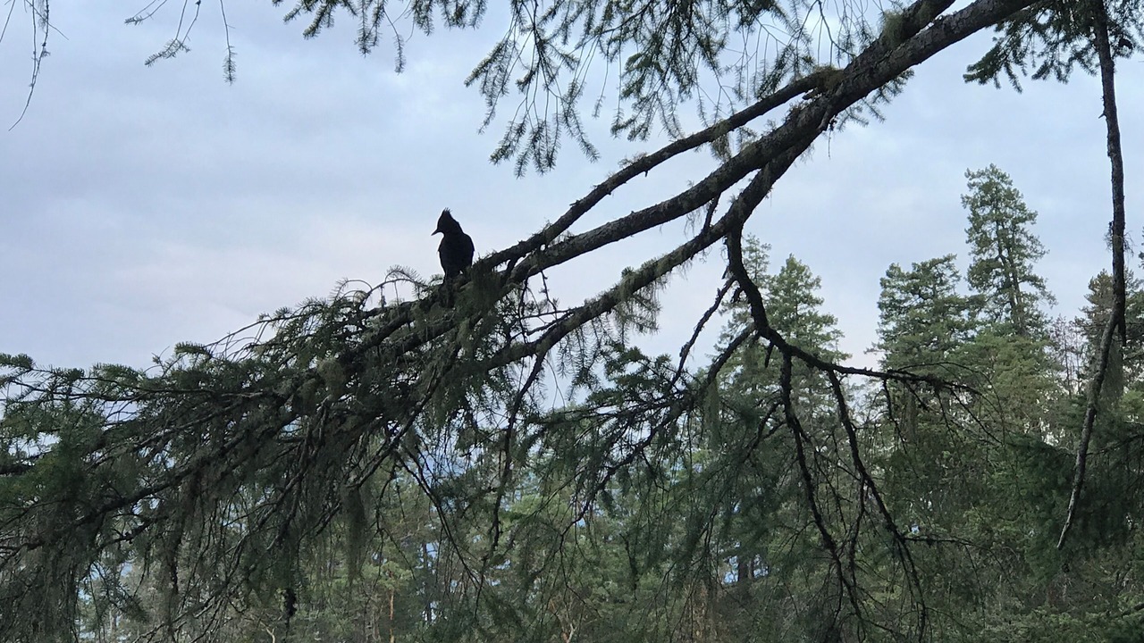 Photo of Outdoor in Tuwanek