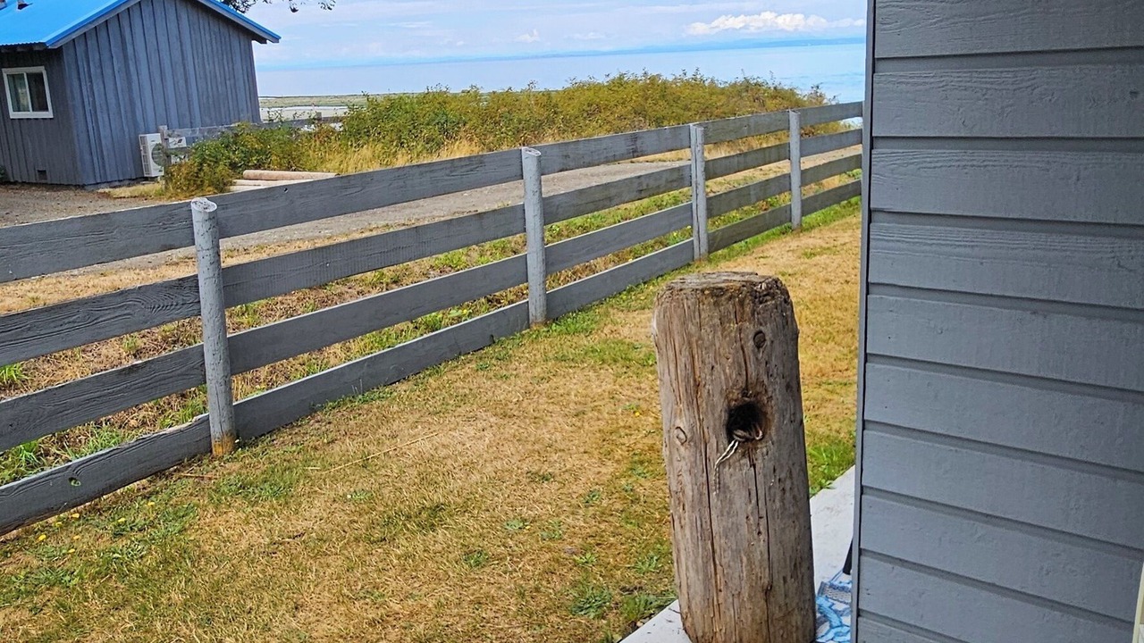 Photo of Outdoor in Courtenay