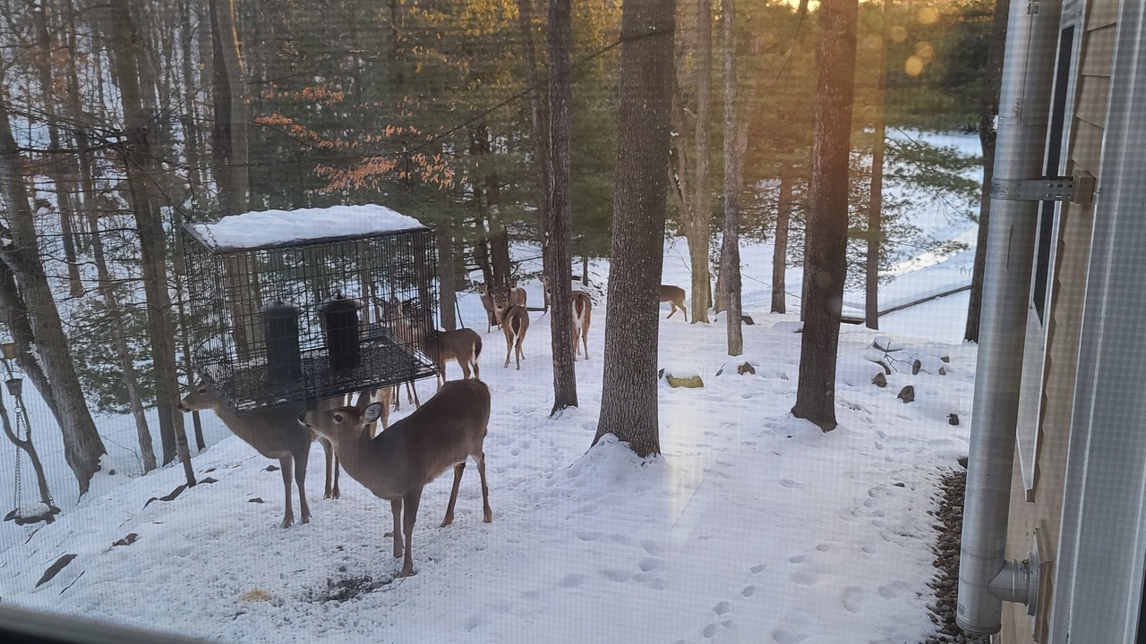Photo of Others in Tay Valley