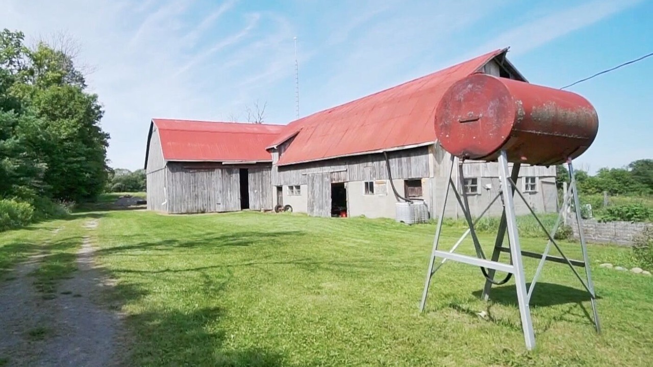 Photo of Outdoor in Cramahe