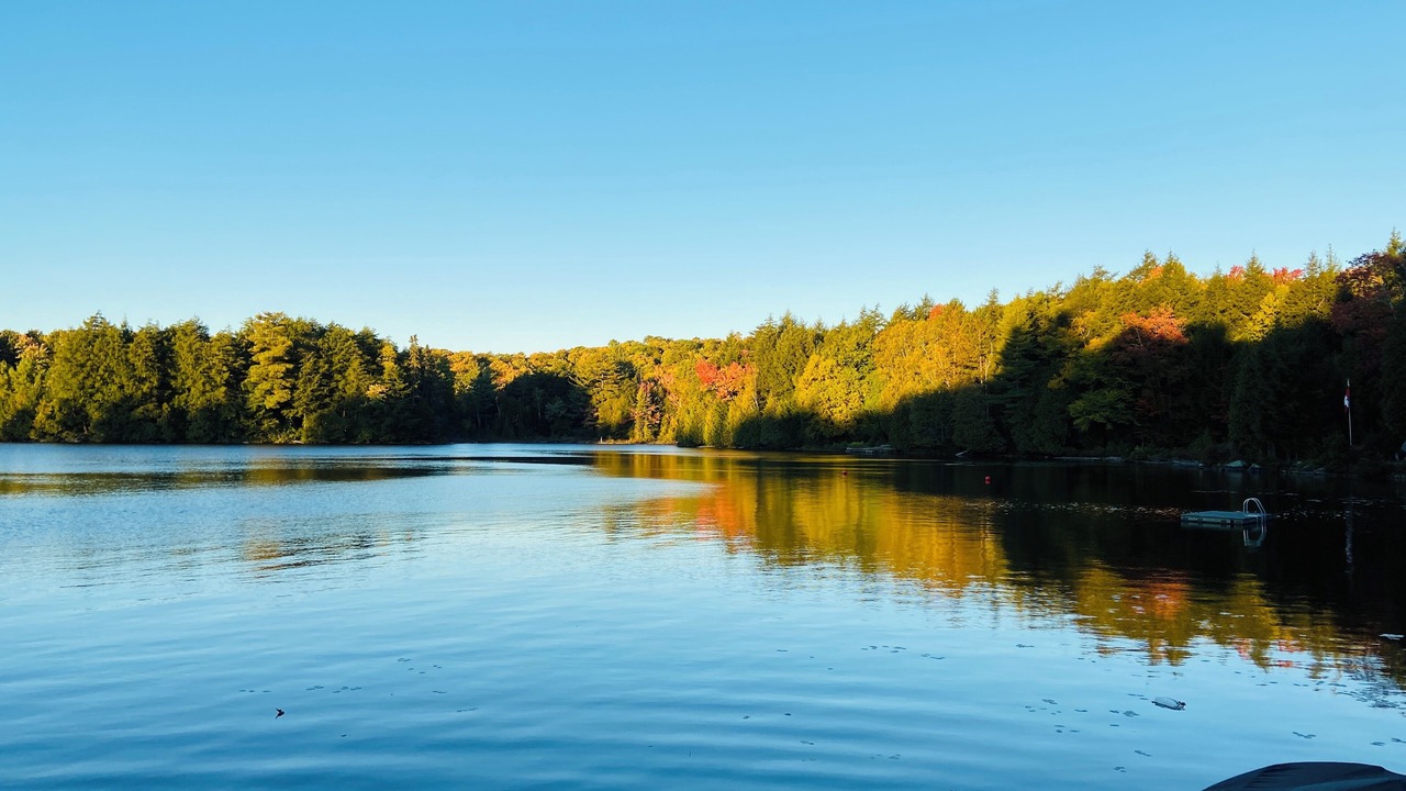 Photo of Others in Lake of Bays