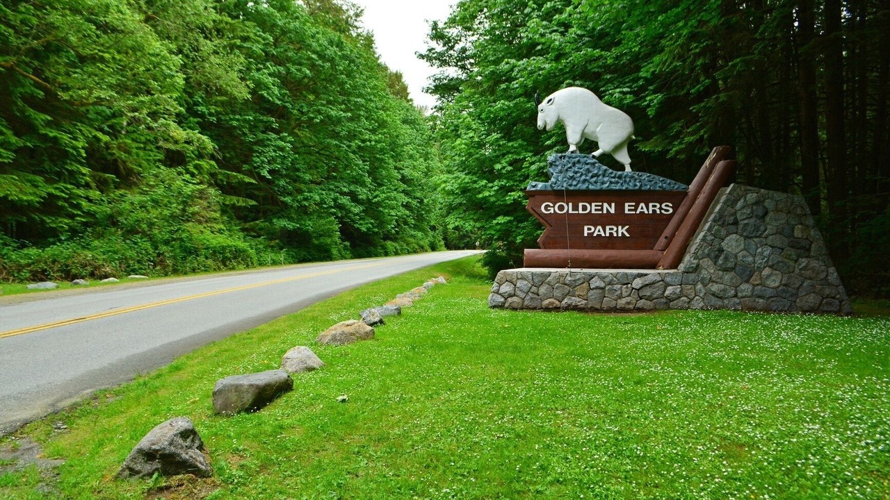 Photo of Outdoor in Maple Ridge