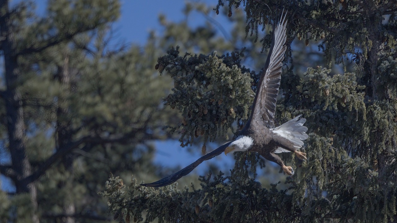 Photo of Others in Silvercreek