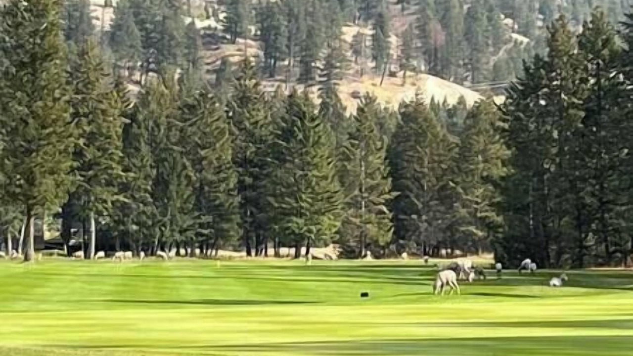 Photo of Others in East Kootenay