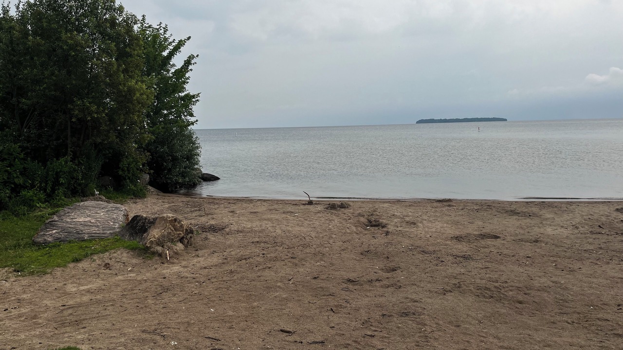 Photo of Others in Alcona