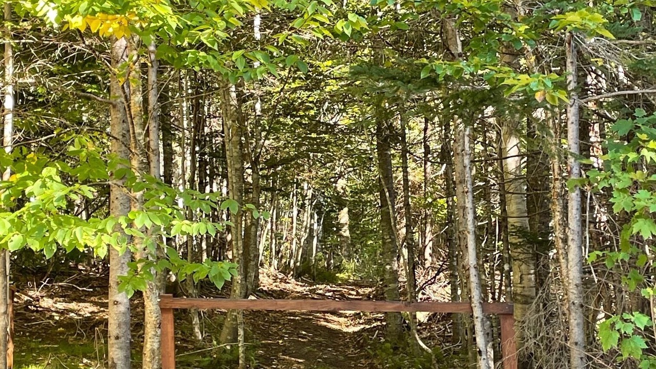 Photo of Outdoor in Inverness County