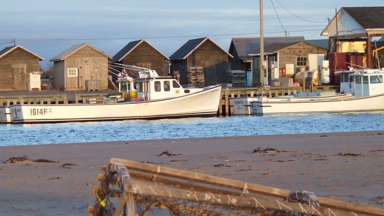 Photo of Outdoor in York