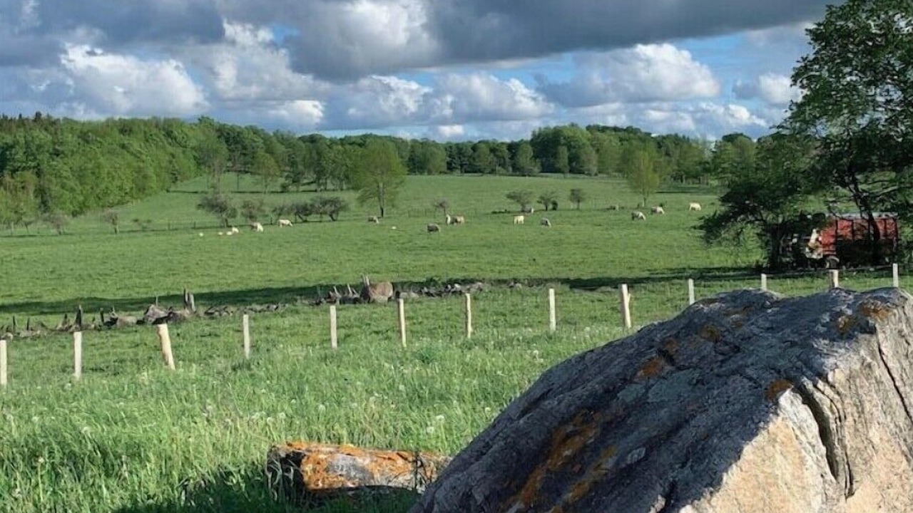Photo of Outdoor in Grey Highlands