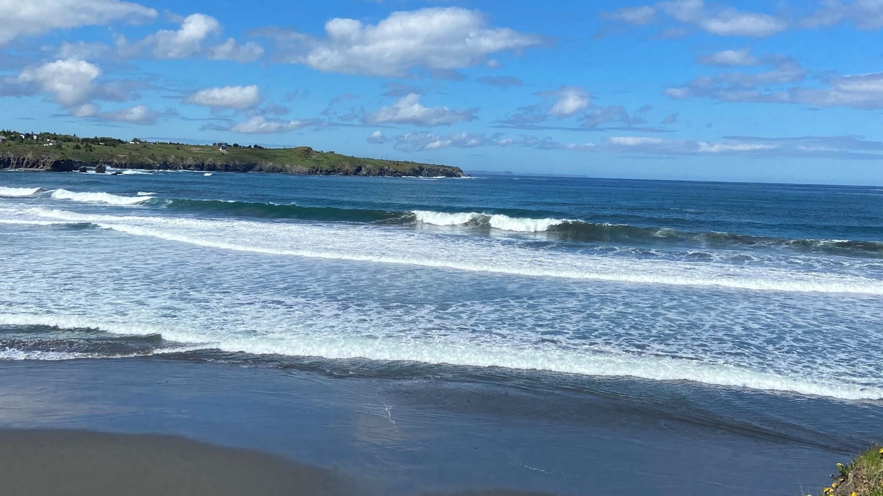 Photo of Others in Western Bay