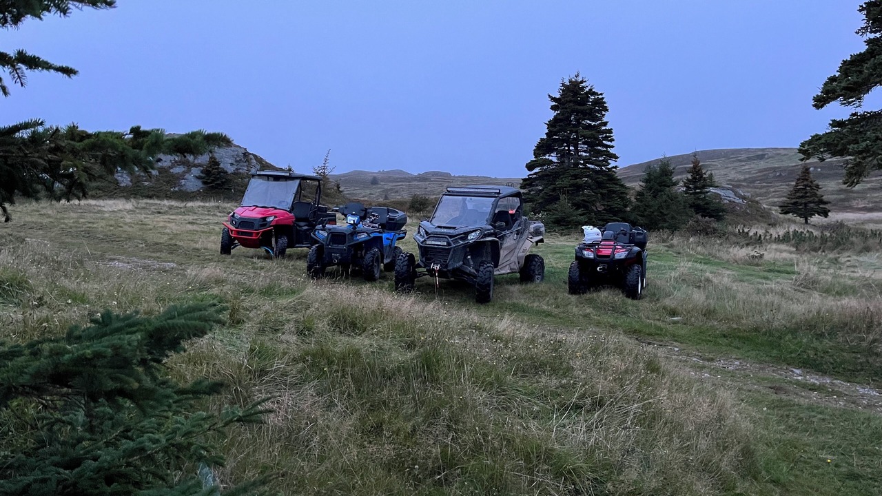 Photo of Others in Western Bay