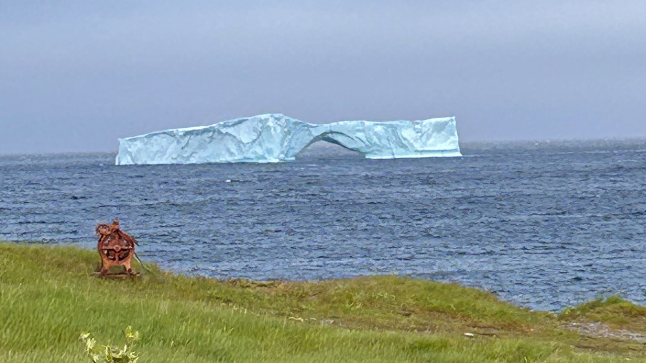Photo of Others in Western Bay
