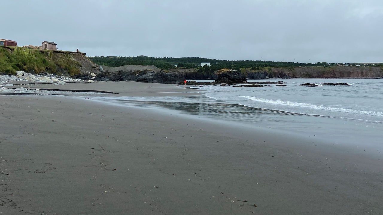 Photo of Others in Western Bay
