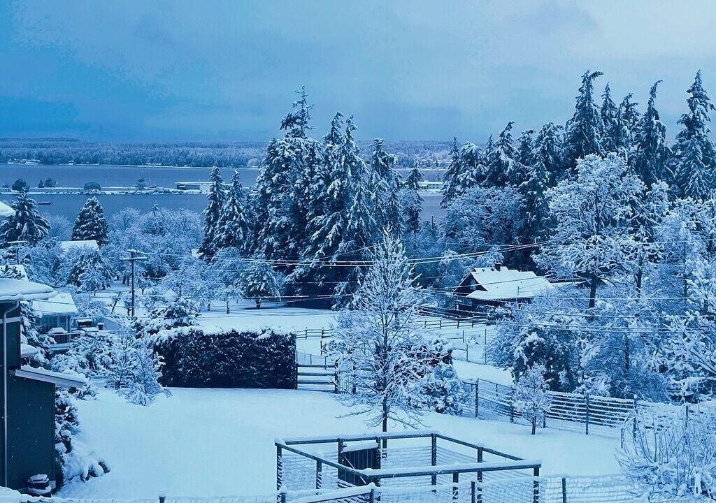 Photo of Others in Comox