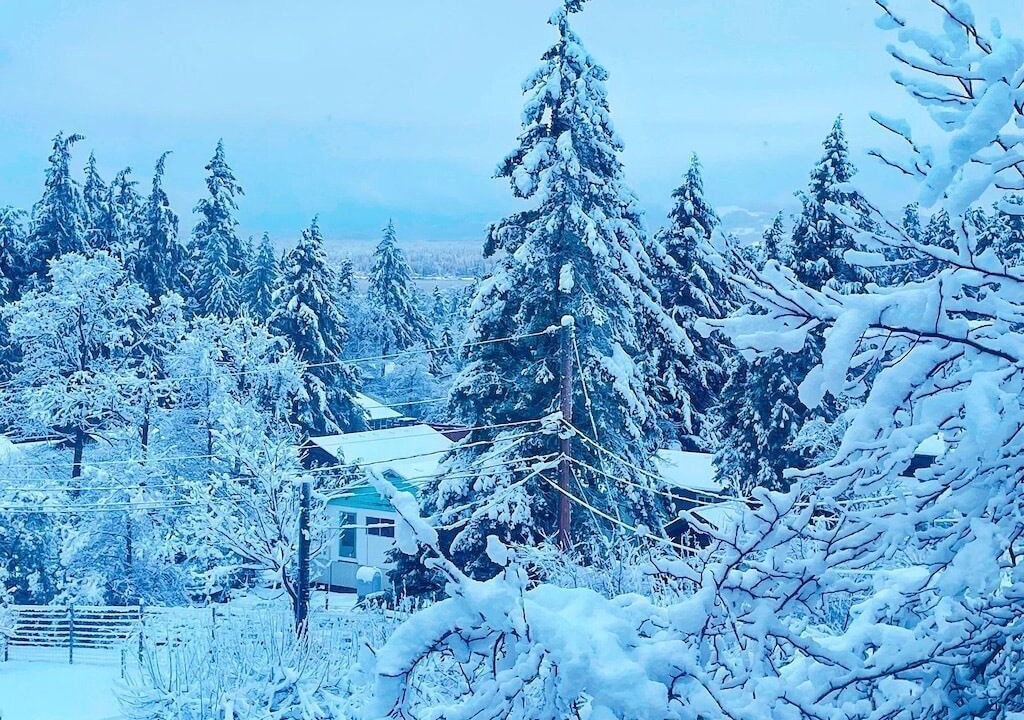 Photo of Outdoor in Comox