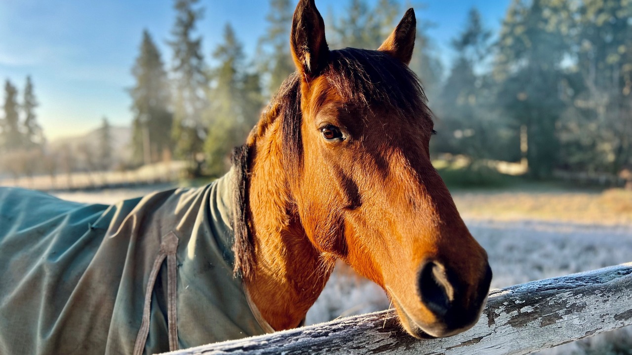 Photo of Others in North Cowichan