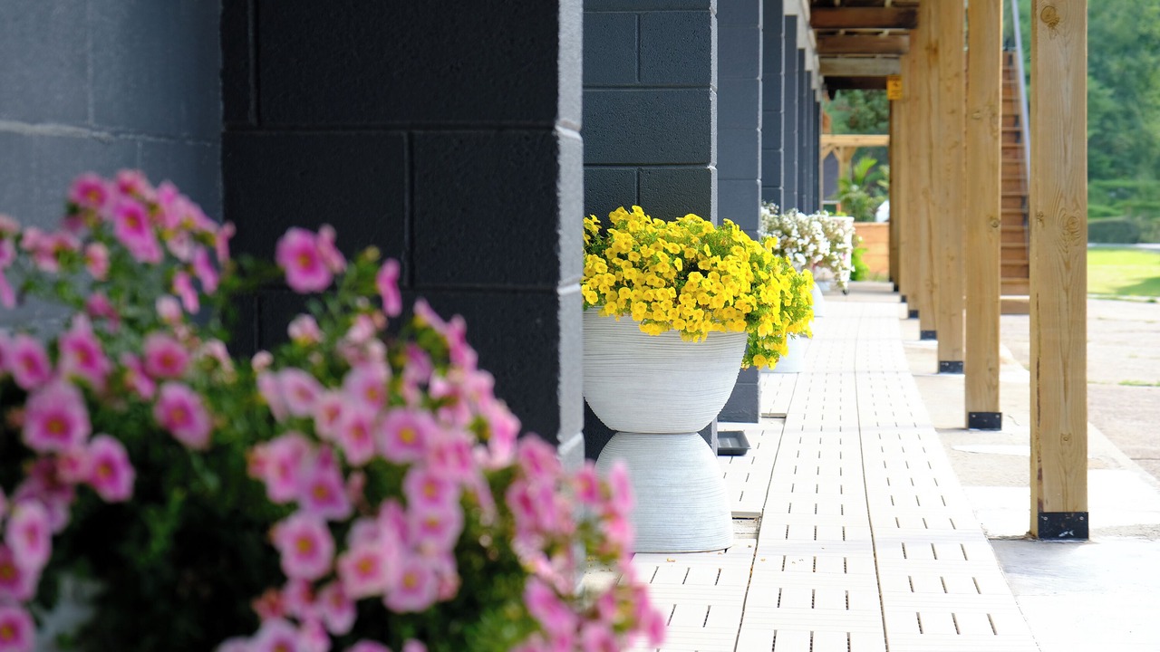 Photo of Outdoor in Gravenhurst