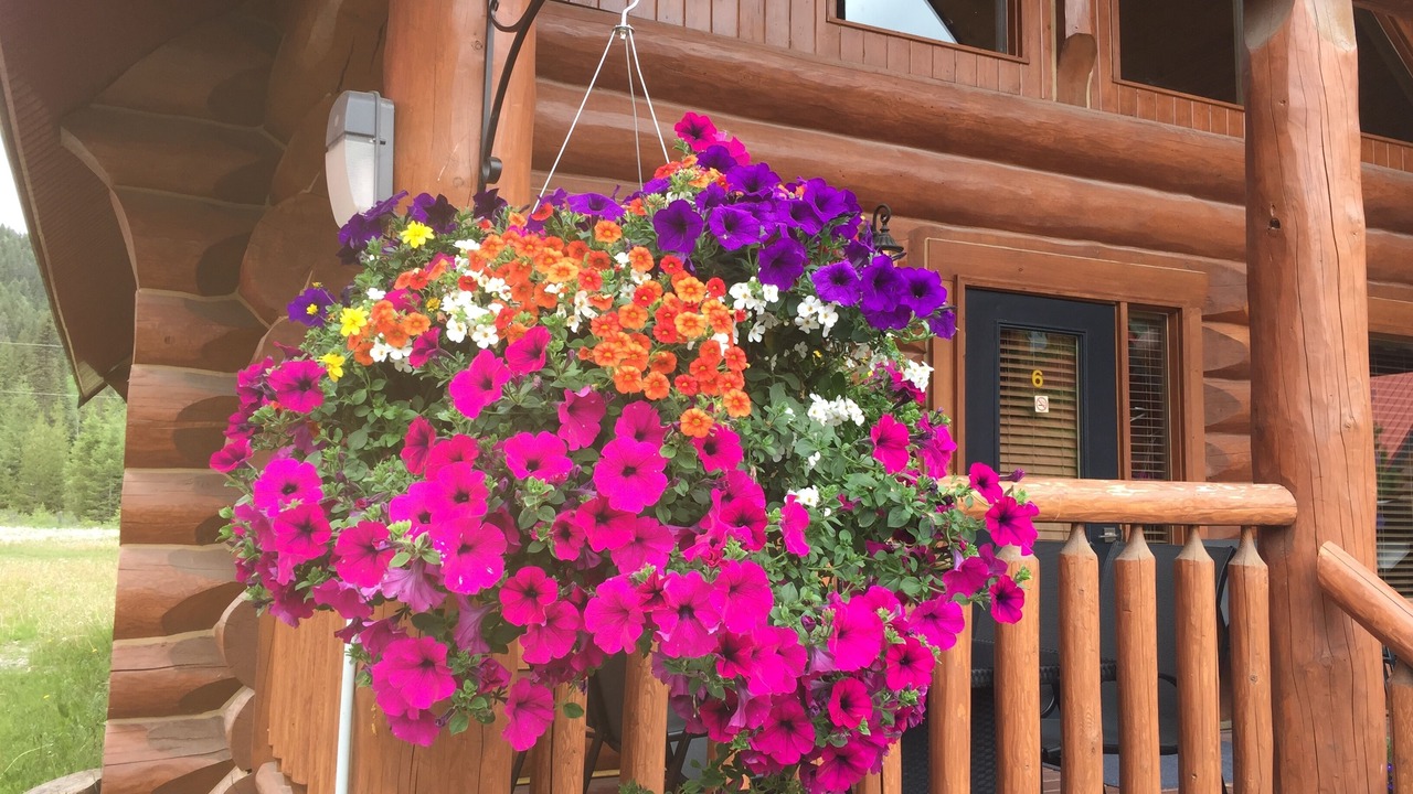 Photo of Outdoor in Golden