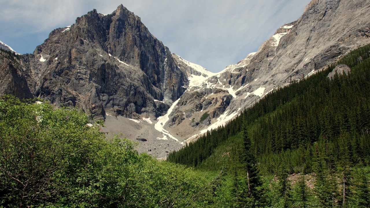 Photo of Others in Golden