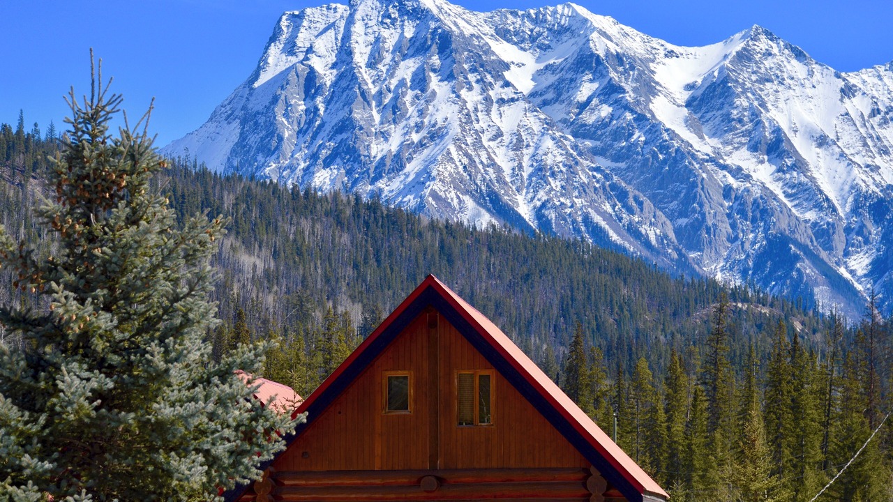 Photo of Outdoor in Golden