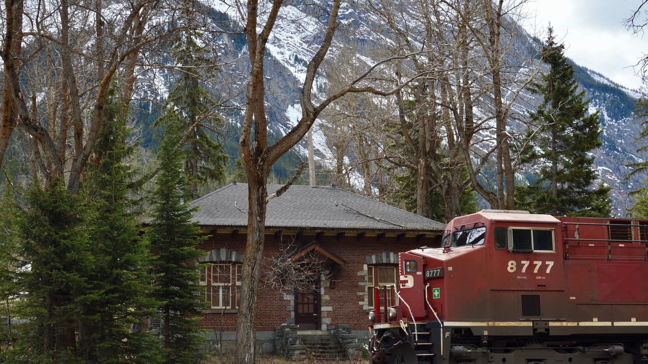 Photo of Outdoor in Golden