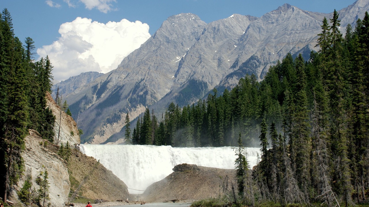 Photo of Outdoor in Golden