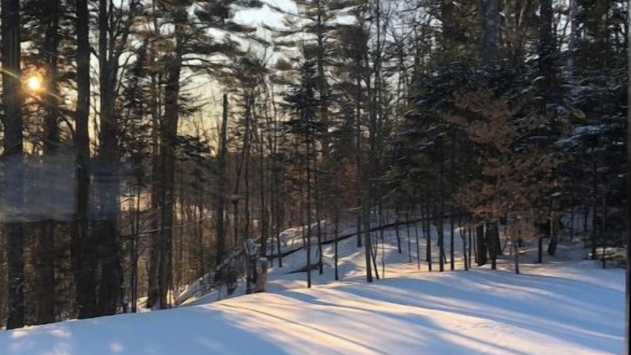 Photo of Others in Sainte-Ann-des-Lacs