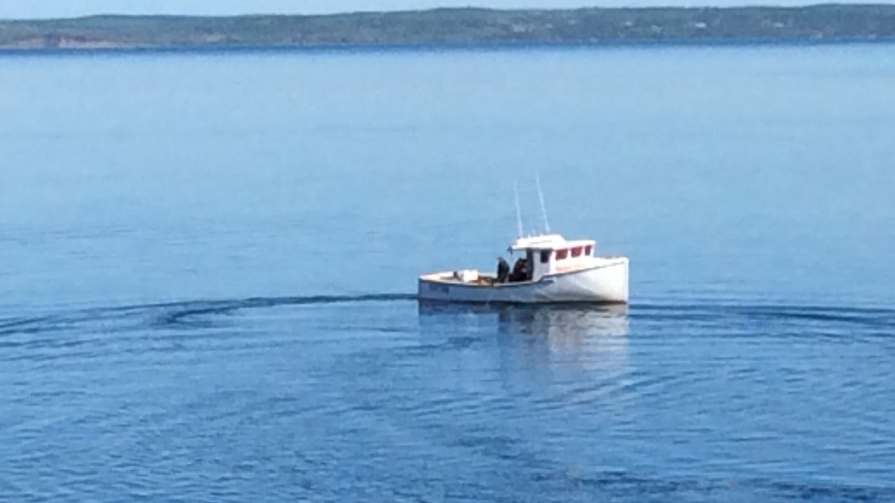 Photo of Others in Guysborough County