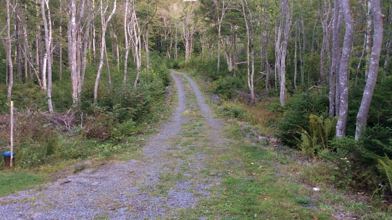 Photo of Outdoor in Guysborough County